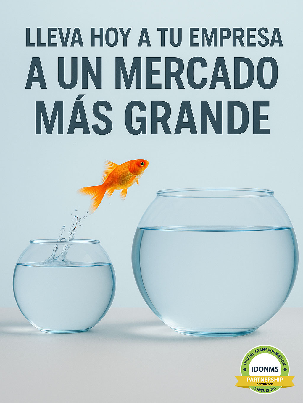 Transformación Digital